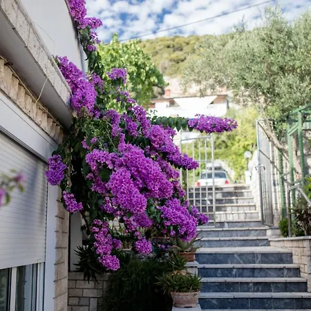 Beachfront With 1 Bedroom And Terrace Apartment Supetarska Draga