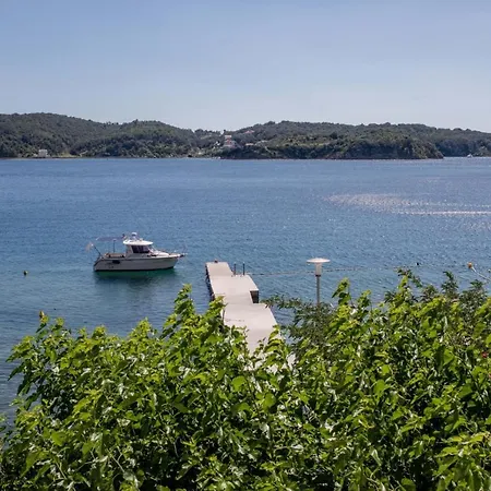 Apartament Beachfront With 1 Bedroom And Terrace Supetarska Draga